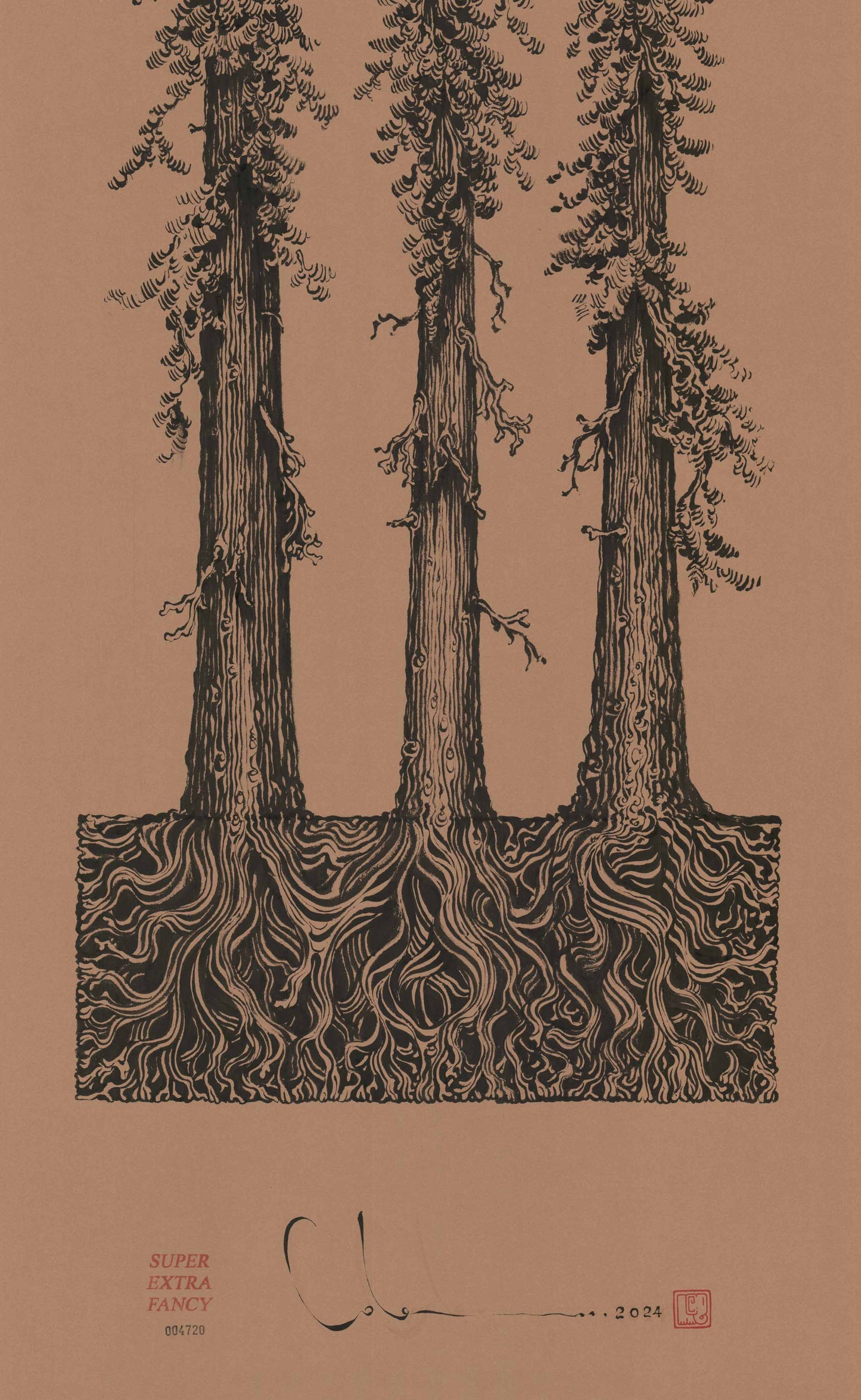 6' Foot Tall Drawing of Redwood Trees