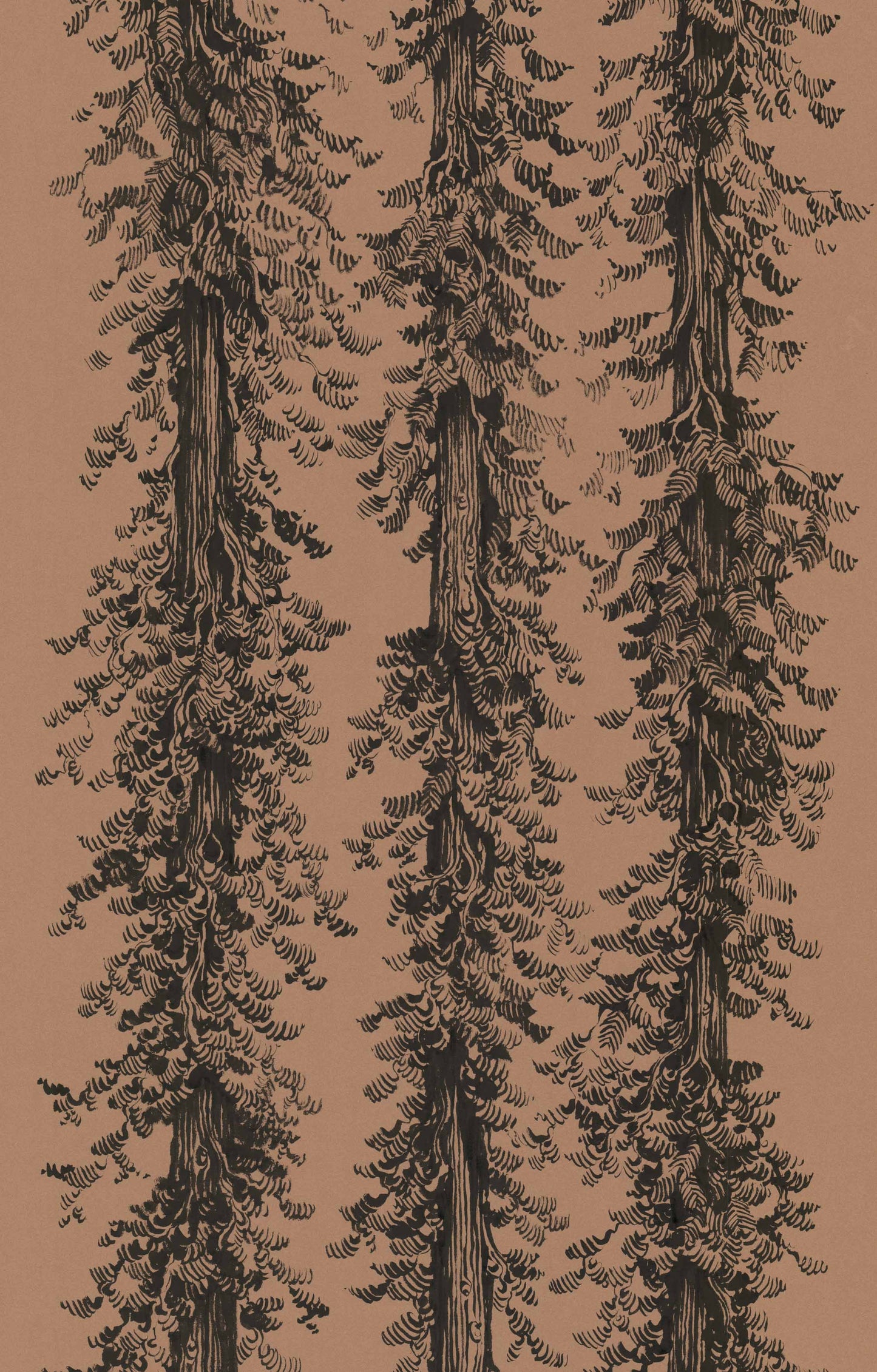 6' Foot Tall Drawing of Redwood Trees