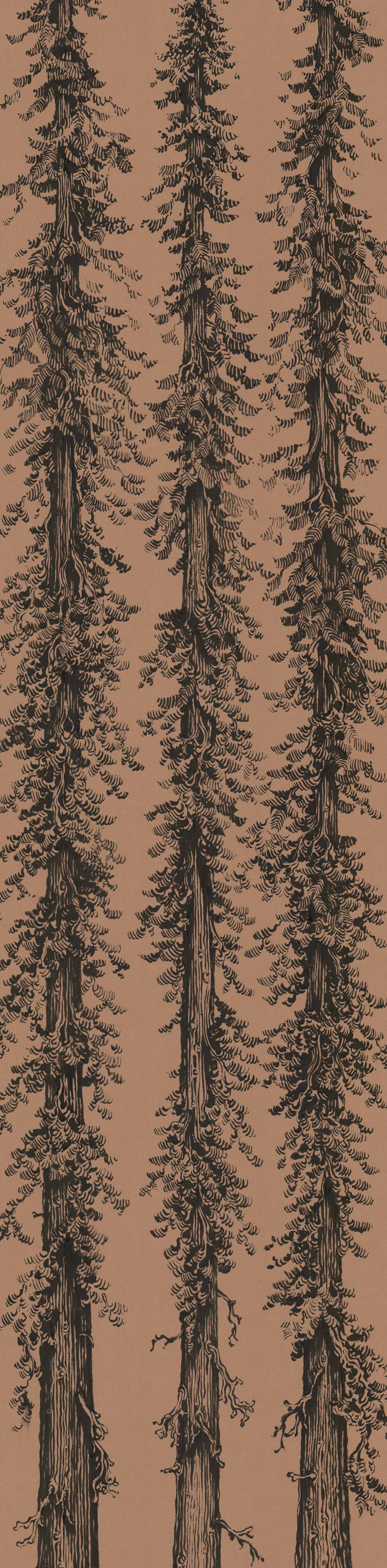 6' Foot Tall Drawing of Redwood Trees