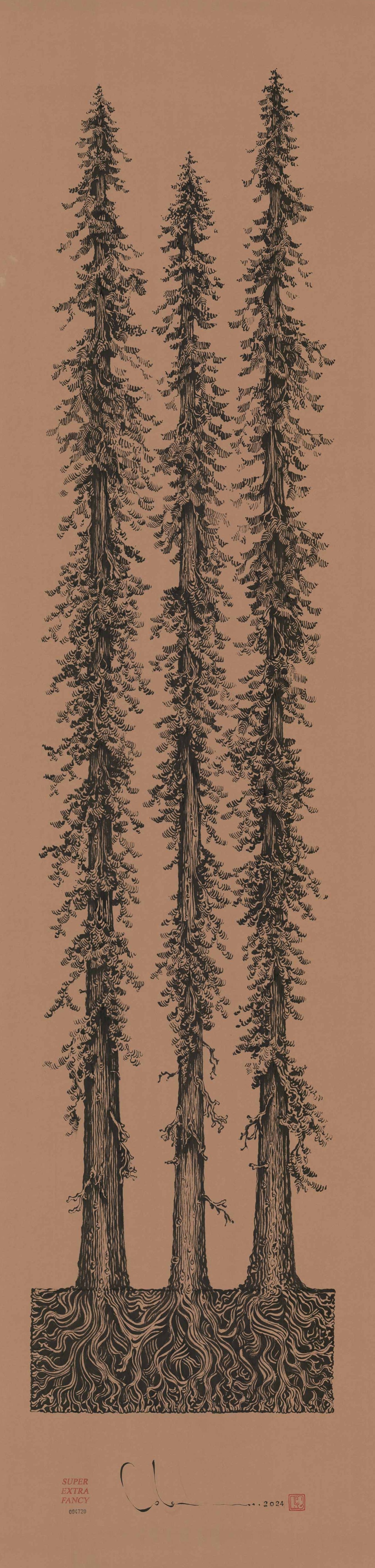 6' Foot Tall Drawing of Redwood Trees