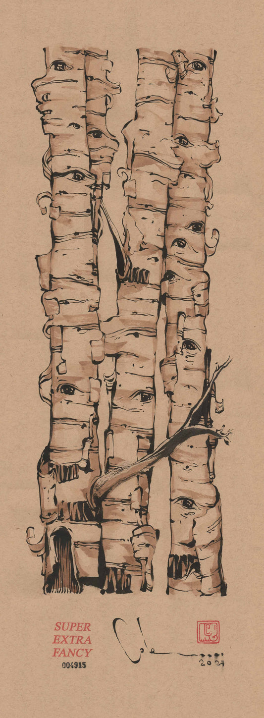 M. Birch Trees (9x24") Hand-Drawn to Order !!!