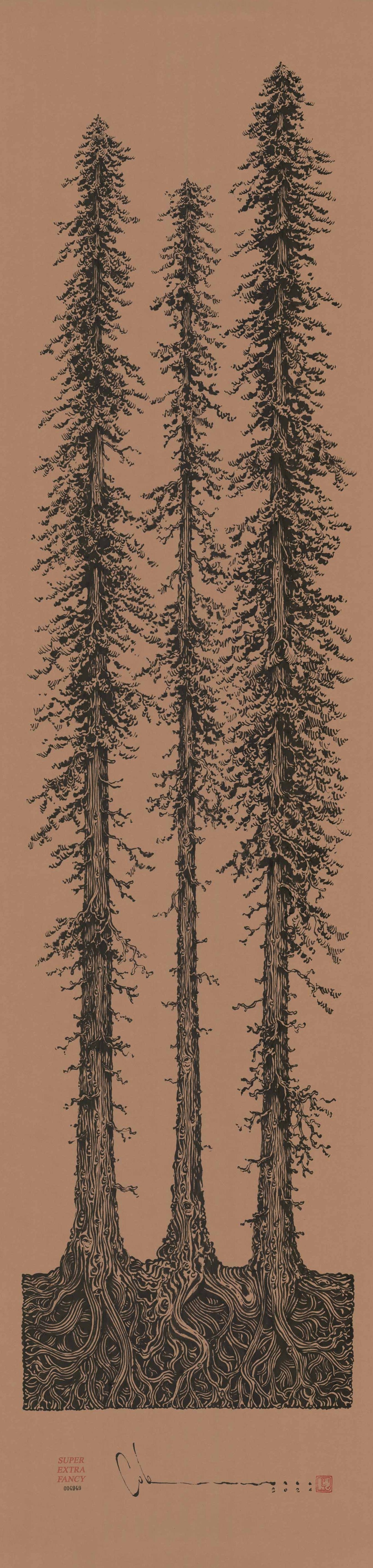6' Foot Tall Drawing of Redwood Trees