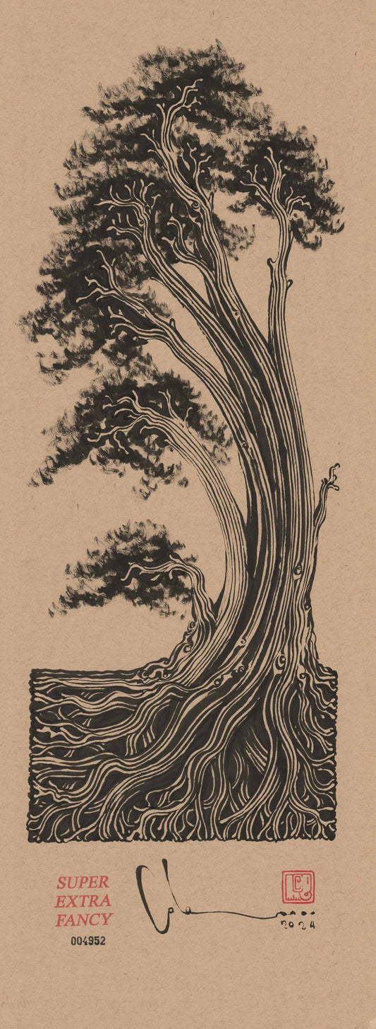 M. Cypress Tree (9x24") Hand-Drawn to Order !!!