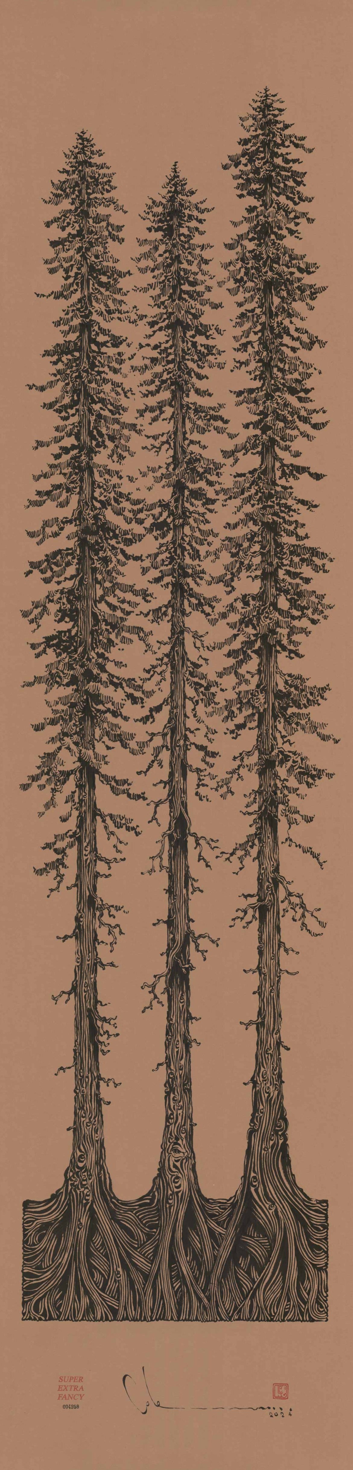 6' Foot Tall Drawing of Redwood Trees