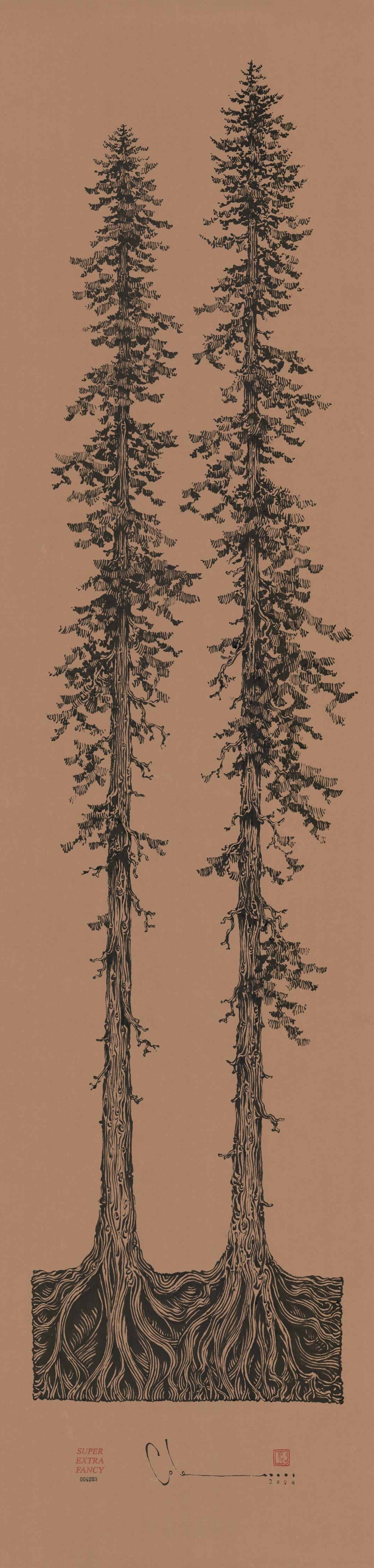 6' Foot Tall Drawing of Redwood Trees