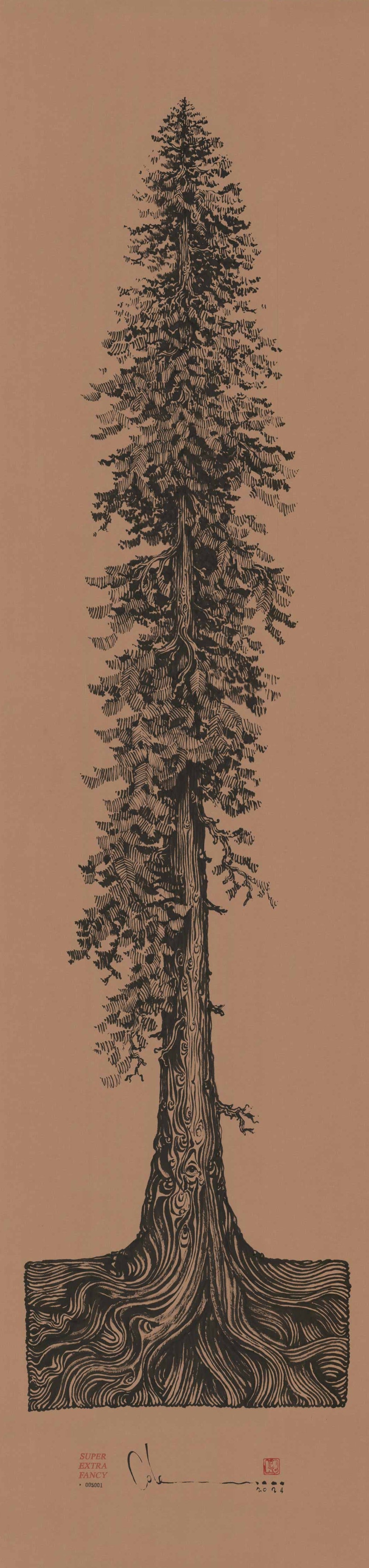 6' Foot Tall Drawing of Redwood Trees