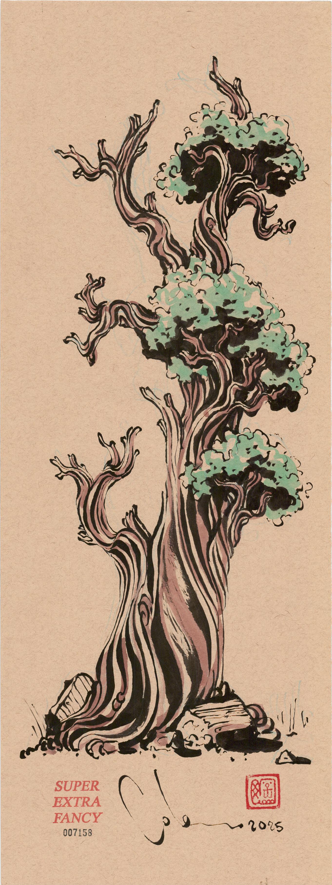 M. Bristlecone Pine (9x24") Hand-Drawn to Order !!!