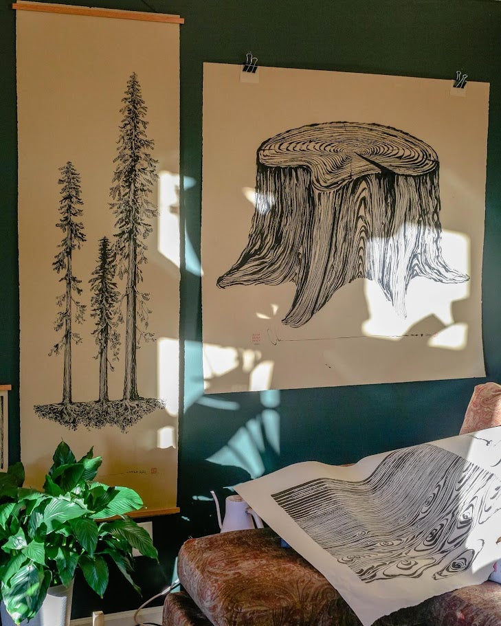 50" X 50" LARGE STUMP