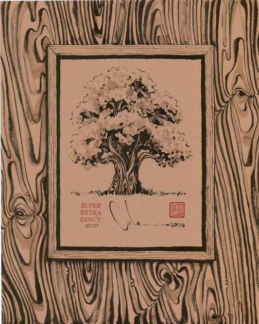Camino Alto #7237 (Framed Drawing of a Drawing of a Tree)