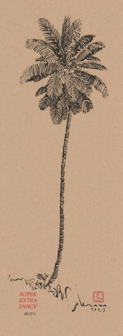 M. Palm Tree (9x24") Hand-Drawn to Order !!!