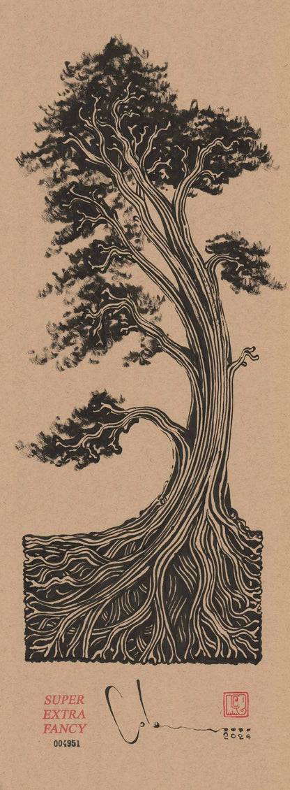 M. Cypress Tree (9x24") Hand-Drawn to Order !!!