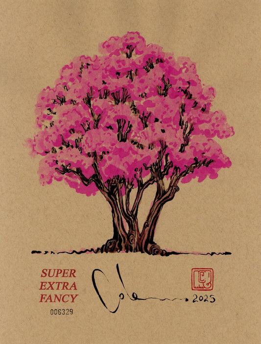 S. Cherry Blossom (9x12") Hand-Drawn to Order !!!