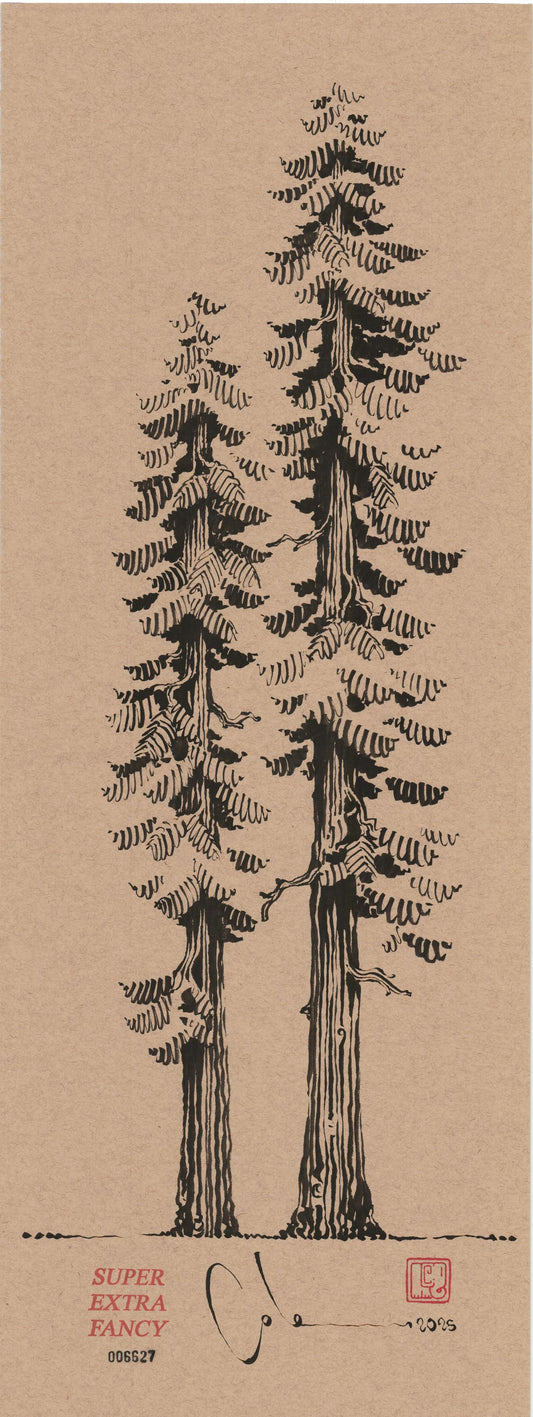 M. Redwood Tree (9x24") Hand-Drawn to Order !!!