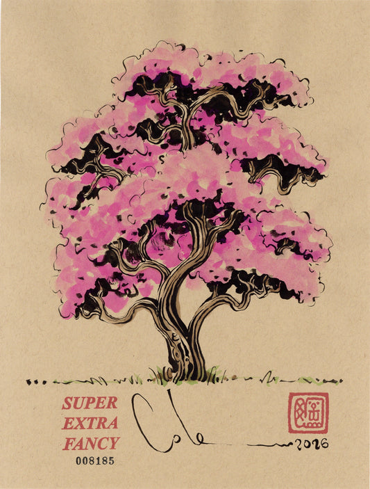 Cherry blossom tree drawing, SXF No. 8185 (9x12)