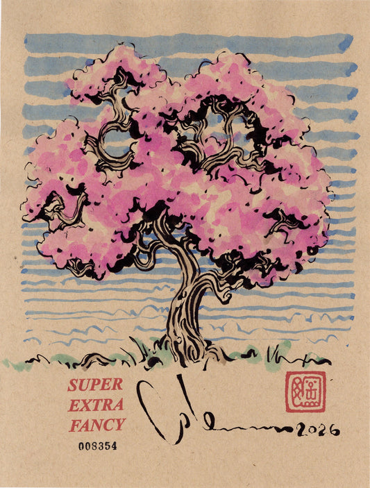 Cherry Blossom & Sky #8354 — 9x12 inch original ink brush drawing of a blossoming cherry tree against a banded blue sky