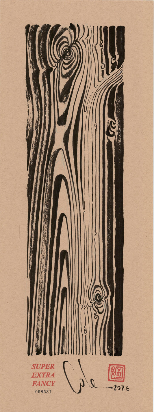 Cathedral Grain #8531 — 9x24 inch original black ink-brush drawing of a plank with a spiral knot and cathedral grain, on kraft paper