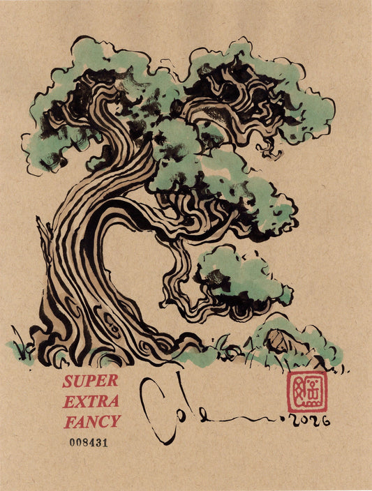 Windswept Pine — left-hand-drawn ink brush drawing on kraft paper, a gnarled pine leaning hard with pale green wash foliage. Super Extra Fancy original #8431.
