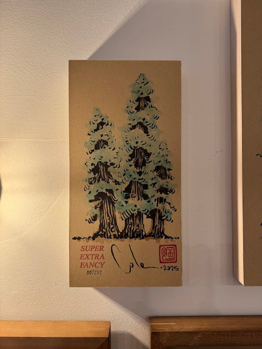 Camino Alto #7252 (Redwood Grove)