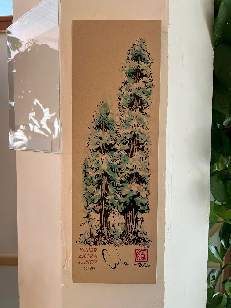 Lil' Redwood Scene (6x18") Large Mounted Drawing · #7208