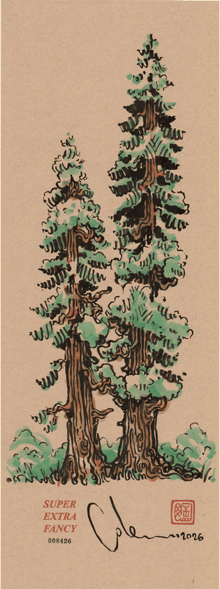 M (9x24") recent drawings — drawn to order