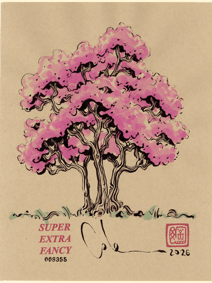 S (9x12") recent drawings — drawn to order