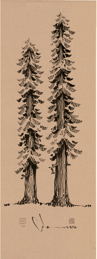 XL (18x48") recent drawings — drawn to order