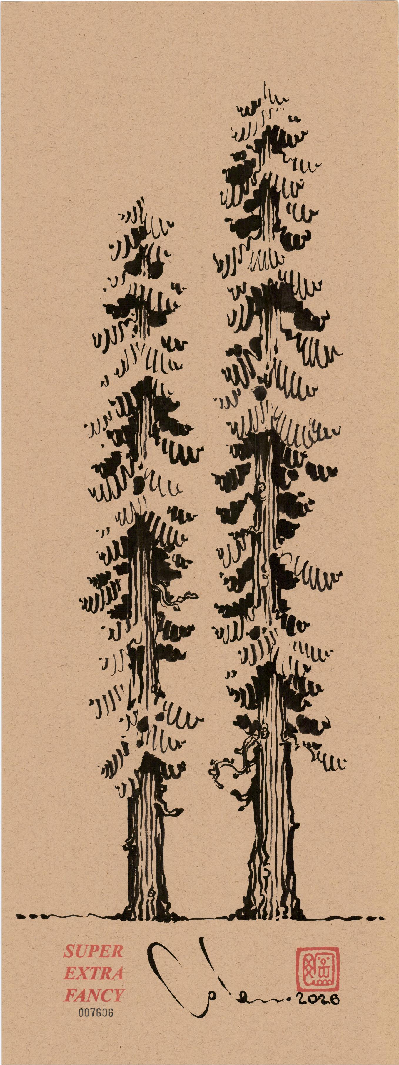 Two Redwoods #7606 — 9x24 inch original ink brush drawing of a pair of redwood trees