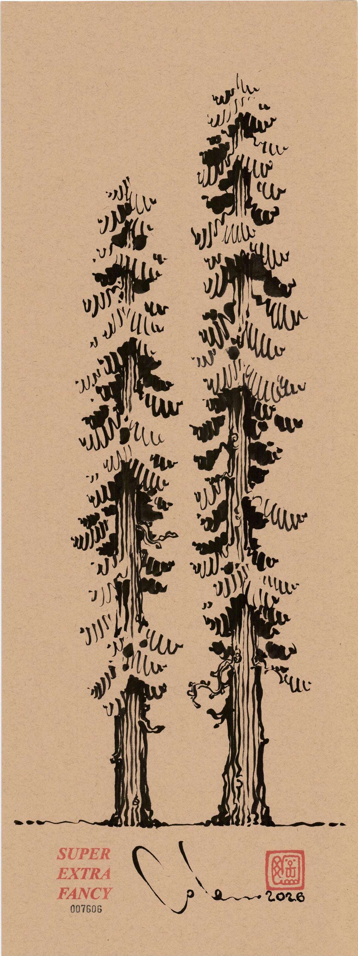 Two Redwoods #7606 — 9x24 inch original ink brush drawing of a pair of redwood trees