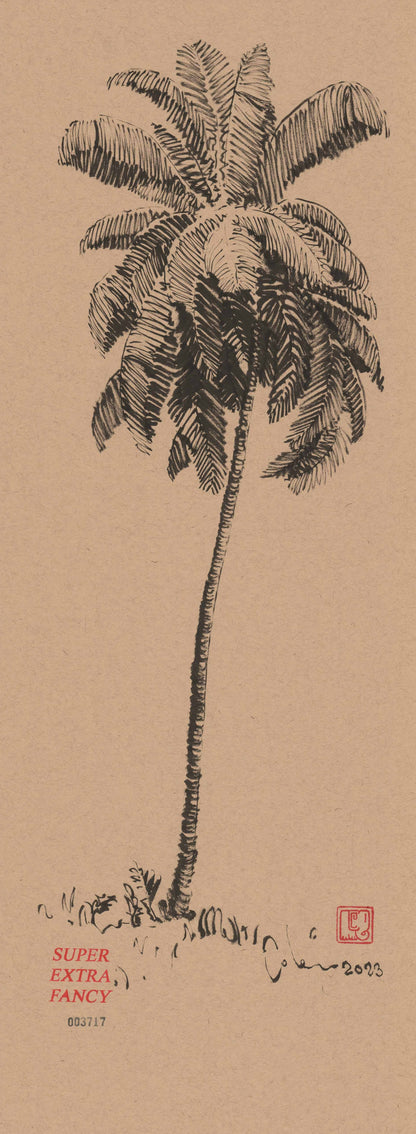 M. Palm Tree (9x24") Hand-Drawn to Order !!!